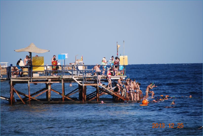 sharm 12 110